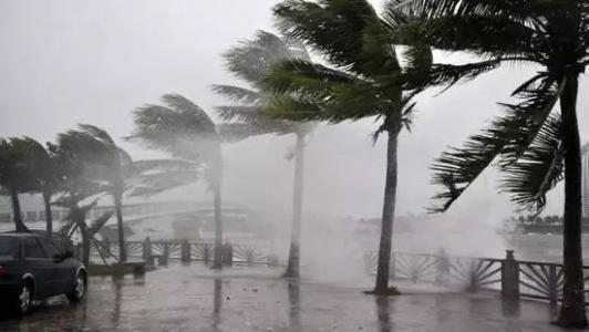 8月台風雨即將來，黄瓜视频在线播放還得用起來