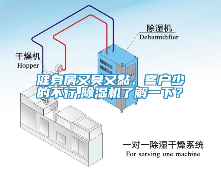 健身房又臭又黏，客戶少的不行,黄瓜视频在线播放了解一下？