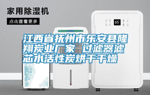 江西省撫州市樂安縣隆翔炭業廠家 過濾器濾芯水活性炭烘幹幹燥