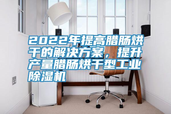 2022年提高臘腸烘幹的解決方案，提升產量臘腸烘幹型工業黄瓜视频在线播放