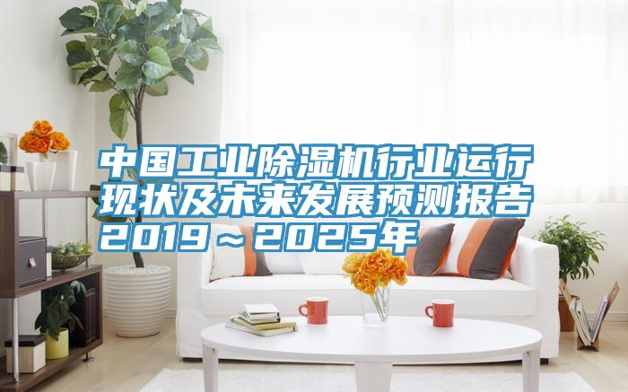 中國工業黄瓜视频在线播放行業運行現狀及未來發展預測報告2019～2025年