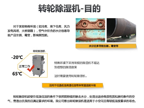 貓糧防潮秘籍，貓糧如何儲存