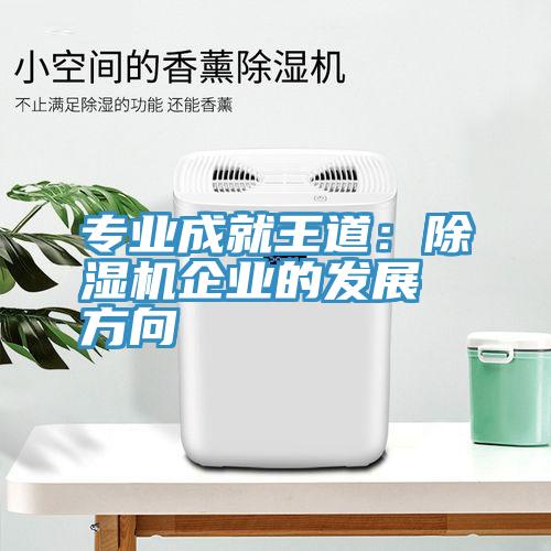 專業成就王道：黄瓜视频在线播放企業的發展方向