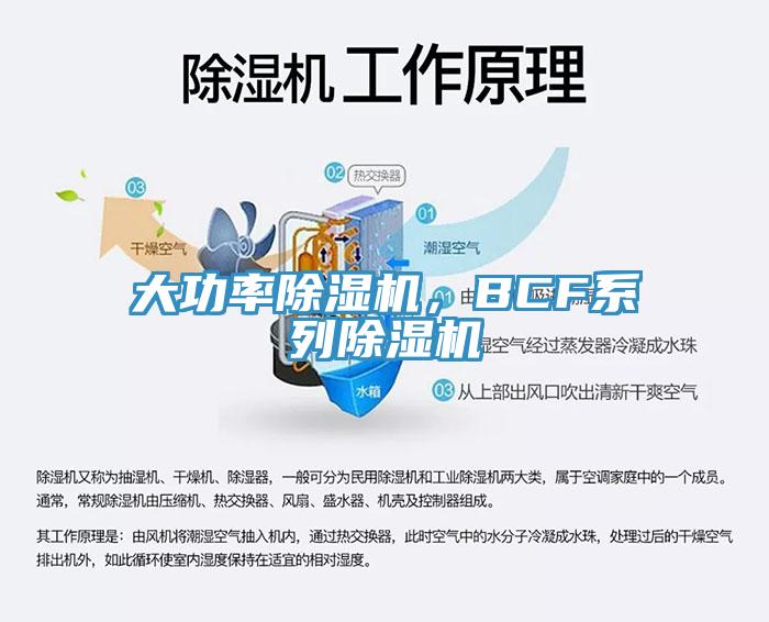 大功率黄瓜视频在线播放，BCF係列黄瓜视频在线播放