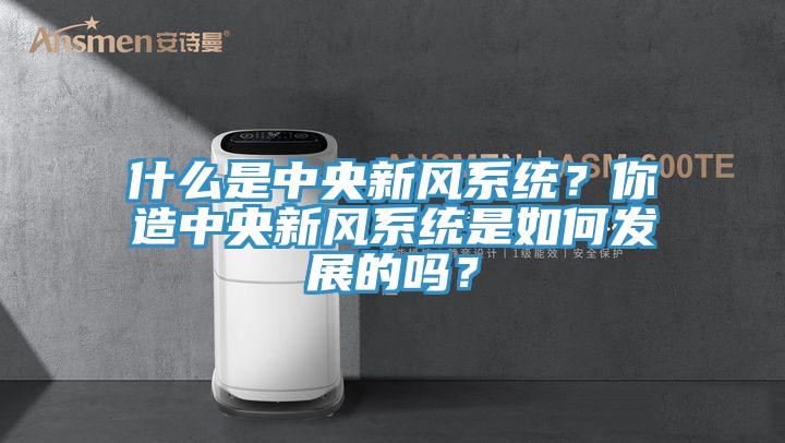 什麽是中央新風係統？你造中央新風係統是如何發展的嗎？