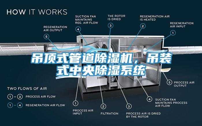 吊頂式管道黄瓜视频在线播放，吊裝式中央除濕係統