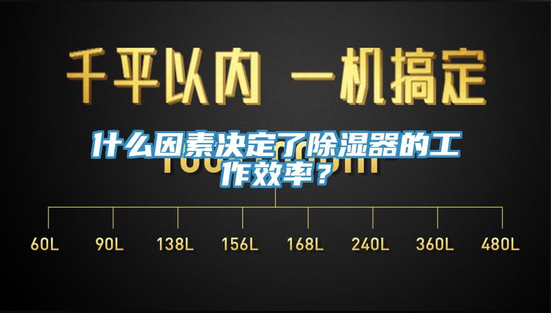 什麽因素決定了除濕器的工作效率？