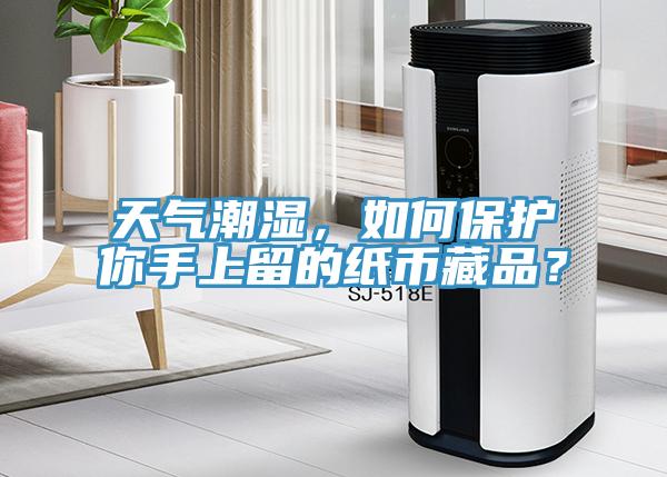 天氣潮濕，如何保護你手上留的紙幣藏品？