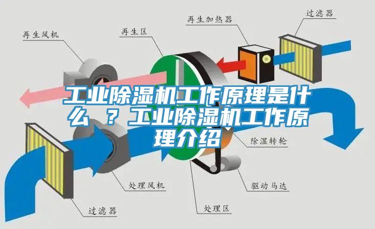 工業黄瓜视频在线播放工作原理是什麽 ？工業黄瓜视频在线播放工作原理介紹