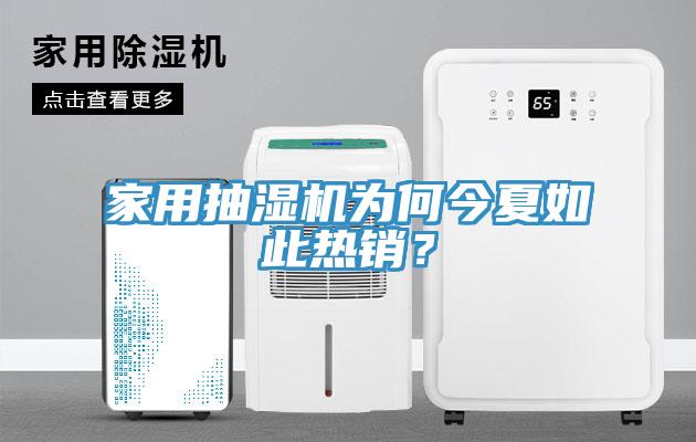 家用抽濕機為何今夏如此熱銷？