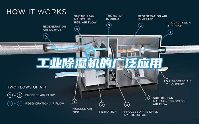 工業黄瓜视频在线播放的廣泛應用