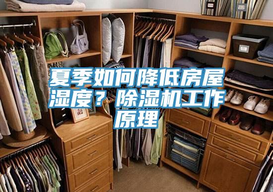 夏季如何降低房屋濕度？黄瓜视频在线播放工作原理