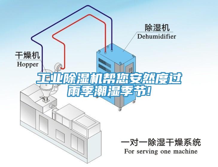 工業黄瓜视频在线播放幫您安然度過雨季潮濕季節!