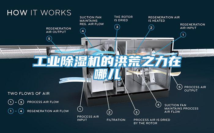 工業黄瓜视频在线播放的洪荒之力在哪兒