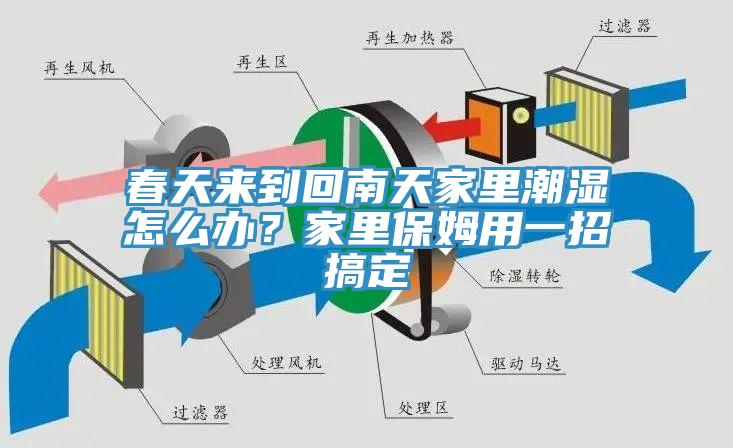 春天來到回南天家裏潮濕怎麽辦？家裏保姆用一招搞定