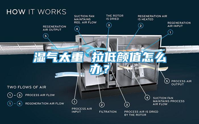 濕氣太重 拉低顏值怎麽辦？