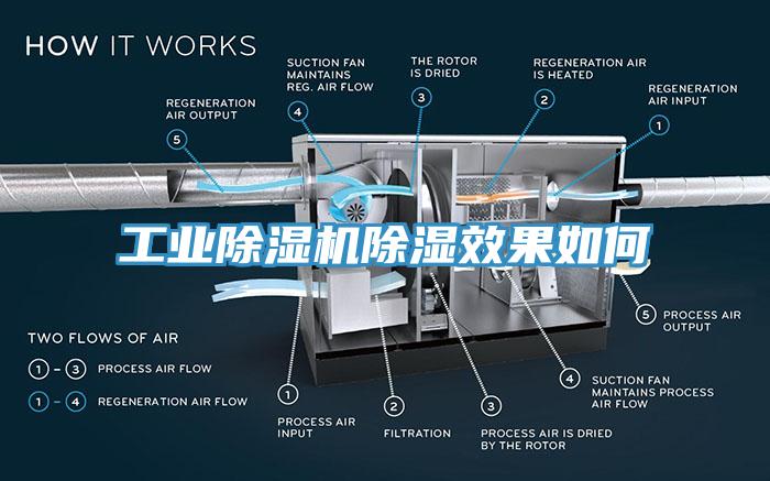 工業黄瓜视频在线播放除濕效果如何