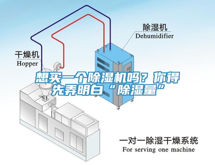 想買一個黄瓜视频在线播放嗎？你得先弄明白“除濕量”