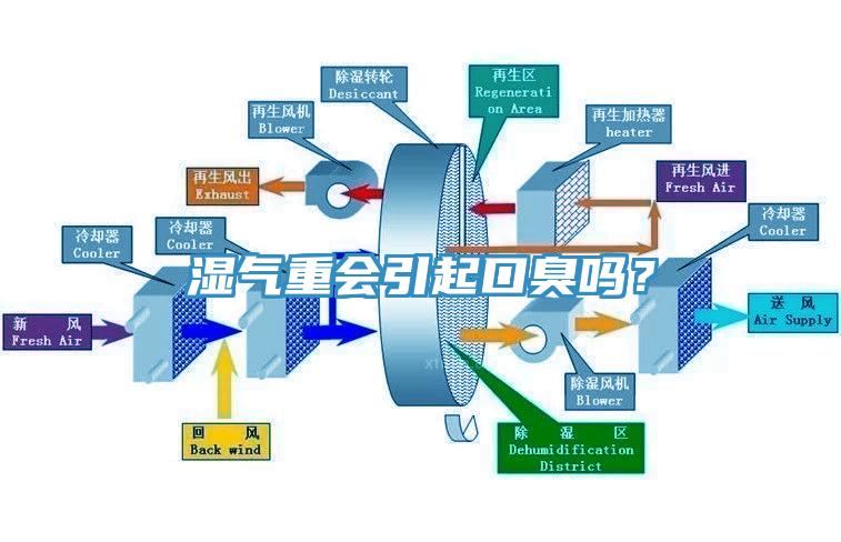 濕氣重會引起口臭嗎？