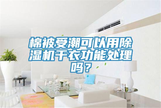 棉被受潮可以用黄瓜视频在线播放幹衣功能處理嗎？