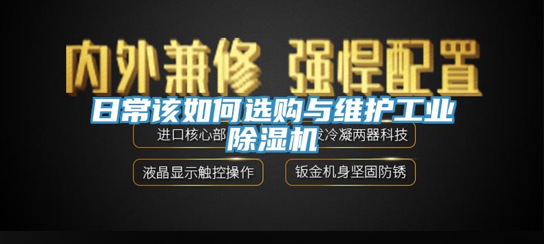 日常該如何選購與維護工業黄瓜视频在线播放