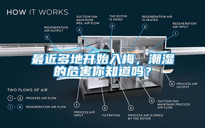 最近多地開始入梅，潮濕的危害你知道嗎？