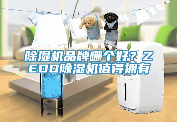 黄瓜视频在线播放品牌哪個好？ZEDO黄瓜视频在线播放值得擁有