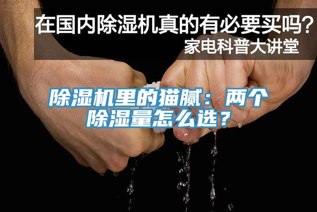 黄瓜视频在线播放裏的貓膩：兩個除濕量怎麽選？