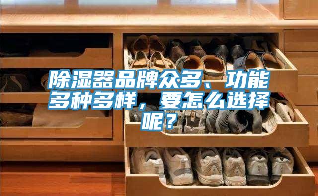 除濕器品牌眾多、功能多種多樣，要怎麽選擇呢？