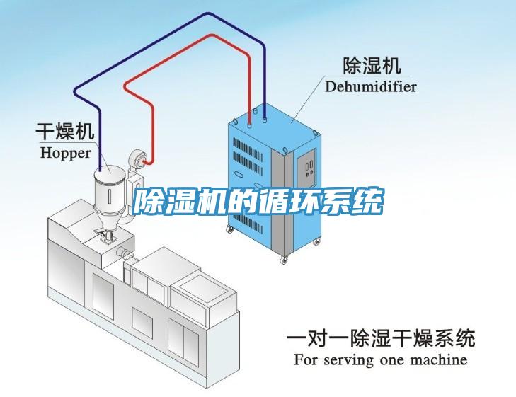 黄瓜视频在线播放的循環係統