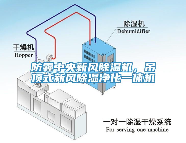 防霾中央新風黄瓜视频在线播放，吊頂式新風除濕淨化一體機