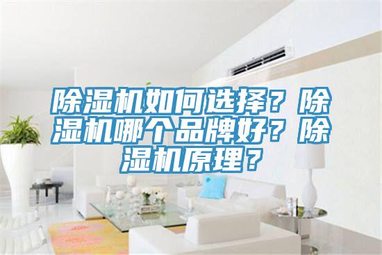 黄瓜视频在线播放如何選擇？黄瓜视频在线播放哪個品牌好？黄瓜视频在线播放原理？