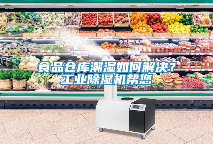 食品倉庫潮濕如何解決？工業黄瓜视频在线播放幫您