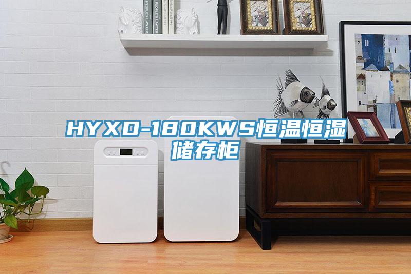 HYXD-180KWS恒溫恒濕儲存櫃