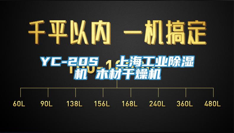 YC-20S  上海工業黄瓜视频在线播放 木材幹燥機