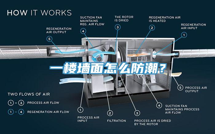 一樓牆麵怎麽防潮？