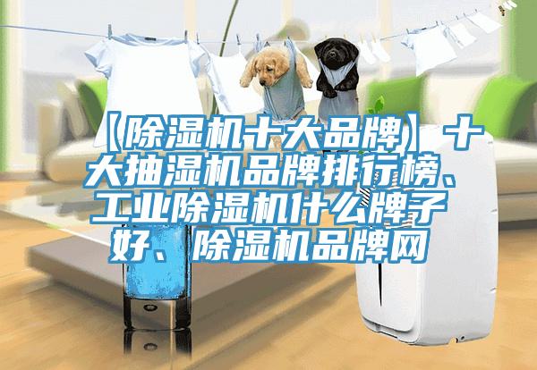 【黄瓜视频在线播放十大品牌】十大抽濕機品牌排行榜、工業黄瓜视频在线播放什麽牌子好、黄瓜视频在线播放品牌網