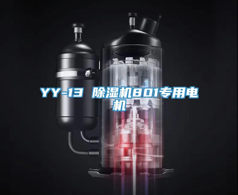 YY-13 黄瓜视频在线播放801專用電機