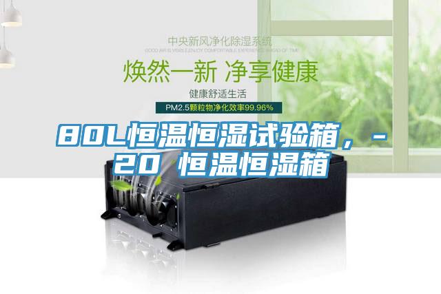 80L恒溫恒濕試驗箱，-20℃恒溫恒濕箱