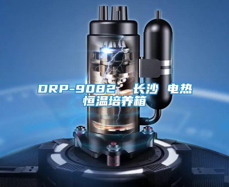 DRP-9082  長沙 電熱恒溫培養箱