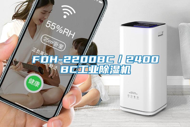 FDH-2200BC／2400BC工業黄瓜视频在线播放