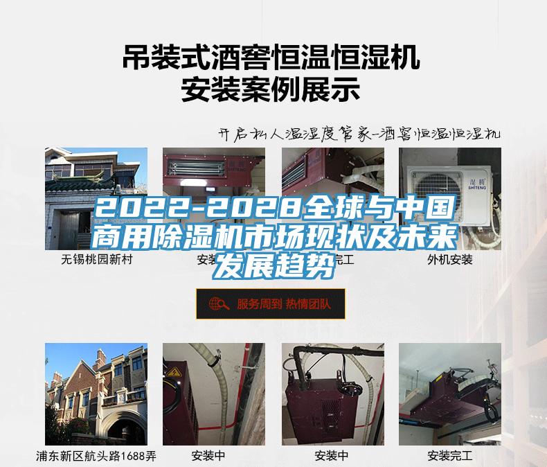 2022-2028全球與中國商用黄瓜视频在线播放市場現狀及未來發展趨勢