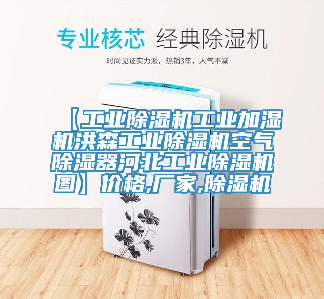 【工業黄瓜视频在线播放工業加濕機洪森工業黄瓜视频在线播放空氣除濕器河北工業黄瓜视频在线播放圖】價格,廠家,黄瓜视频在线播放