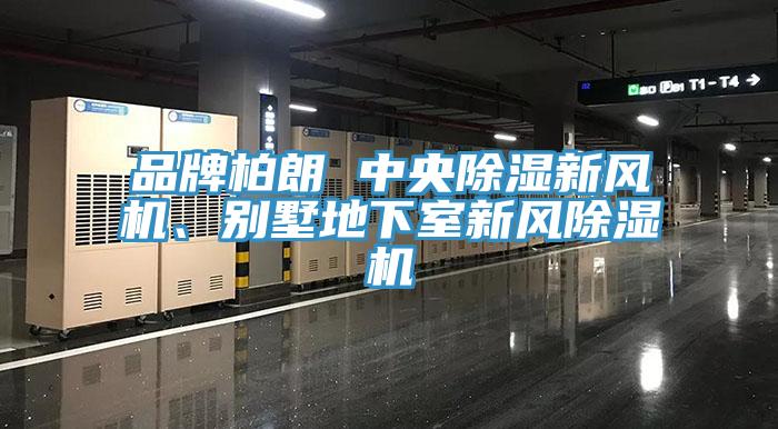 品牌柏朗 中央除濕新風機、別墅地下室新風黄瓜视频在线播放