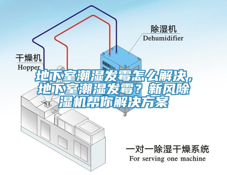 地下室潮濕發黴怎麽解決，地下室潮濕發黴？新風黄瓜视频在线播放幫你解決方案