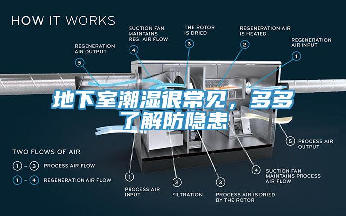 地下室潮濕很常見，多多了解防隱患