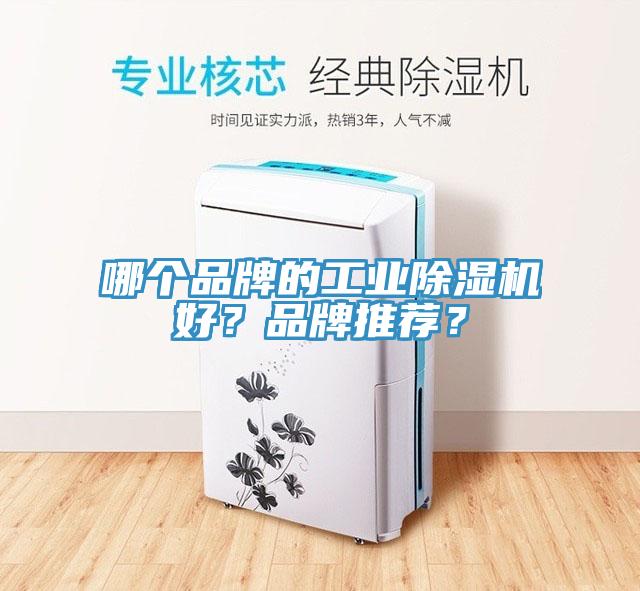 哪個品牌的工業黄瓜视频在线播放好？品牌推薦？