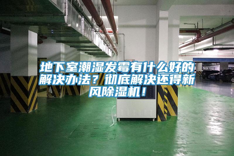 地下室潮濕發黴有什麽好的解決辦法？徹底解決還得新風黄瓜视频在线播放！