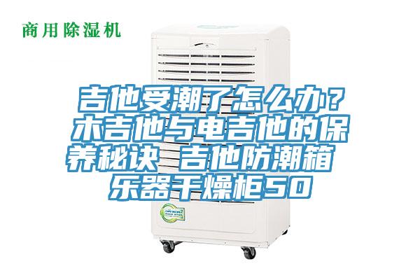 吉他受潮了怎麽辦？木吉他與電吉他的保養秘訣 吉他防潮箱 樂器幹燥櫃50