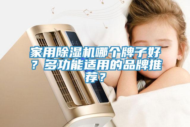 家用黄瓜视频在线播放哪個牌子好？多功能適用的品牌推薦？